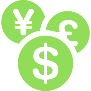 Custom Payment